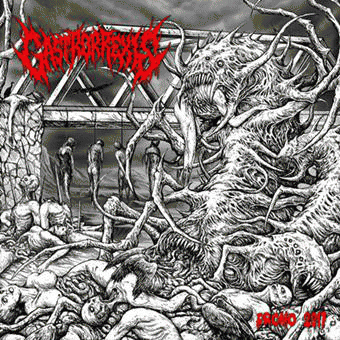 Gastrorrexis : Promo 2017